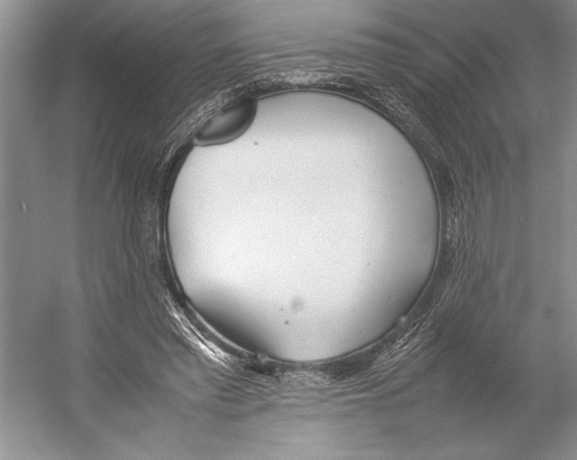 X0000052970397200508051020