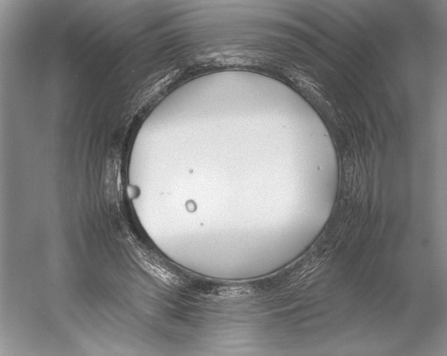 X0000052970398200508051020