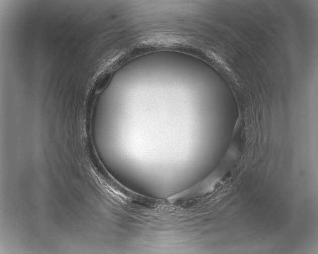 X0000052970399200508051020