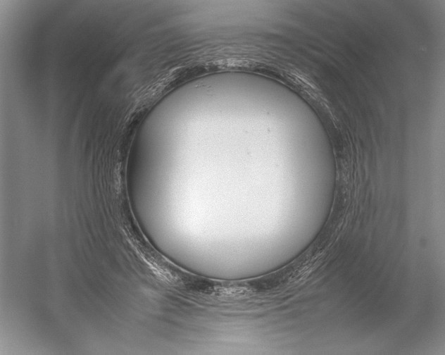 X0000052970401200508051020