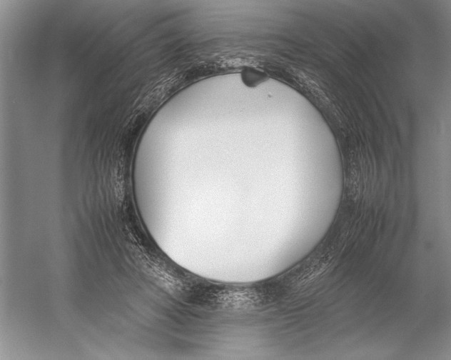 X0000052970402200508051020