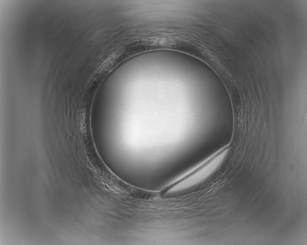 X0000052970403200508051020