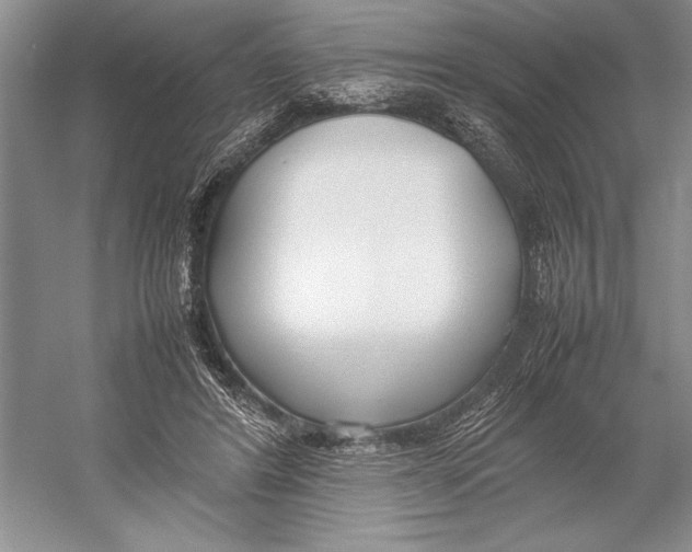 X0000052970404200508051020