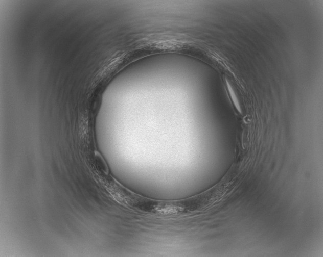 X0000052970407200508051020