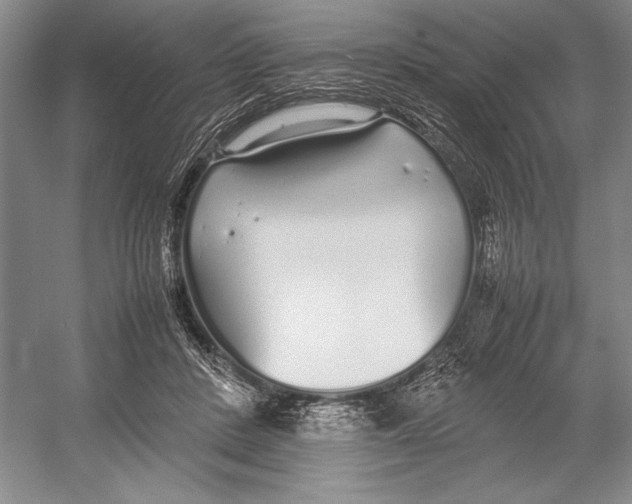 X0000052970408200508051020