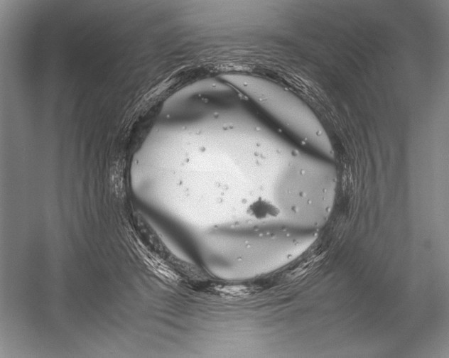 X0000052970409200508051020