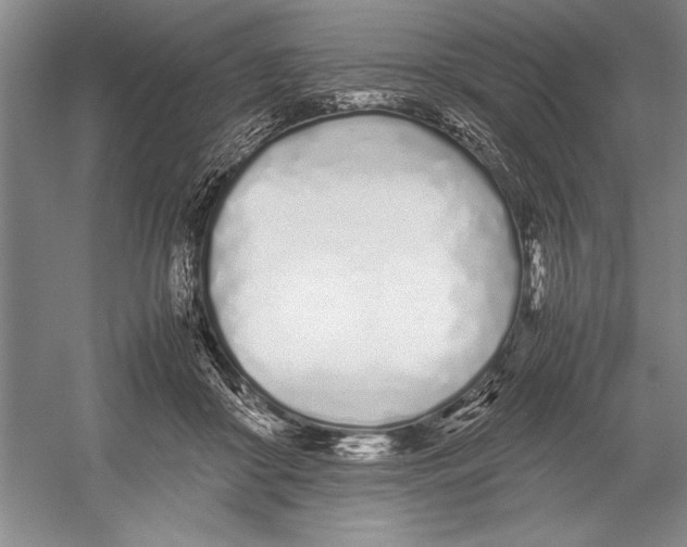 X0000052970410200508051020