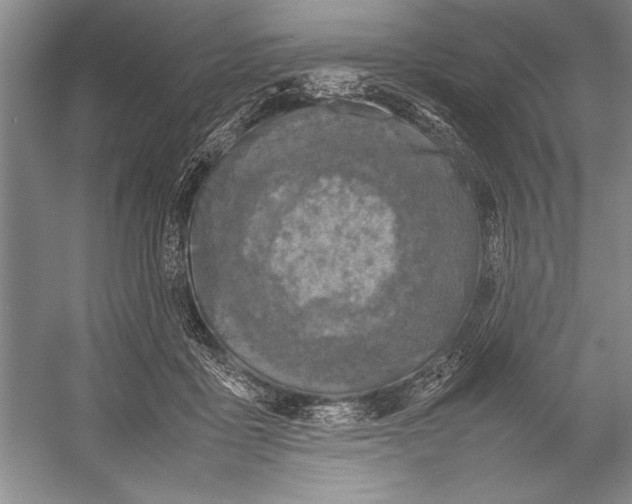 X0000052970411200508051020