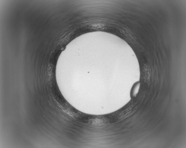 X0000052970412200508051020