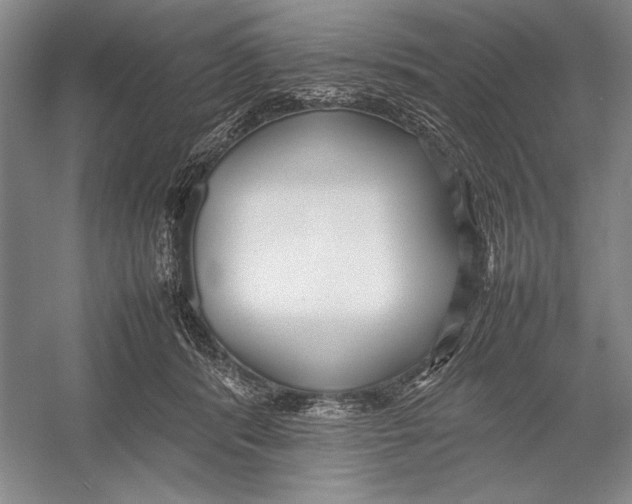 X0000052970416200508051020