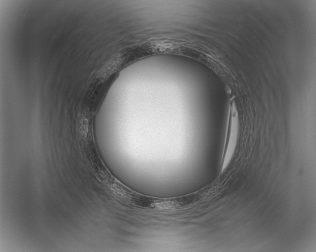 X0000052970417200508051020