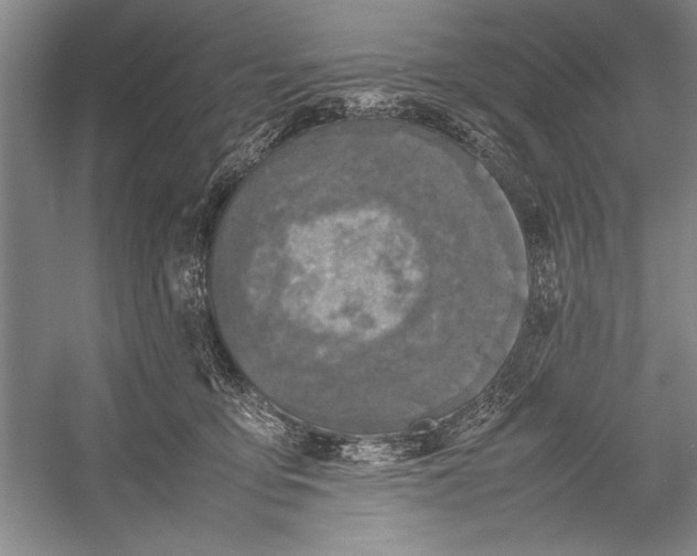 X0000052970419200508051020