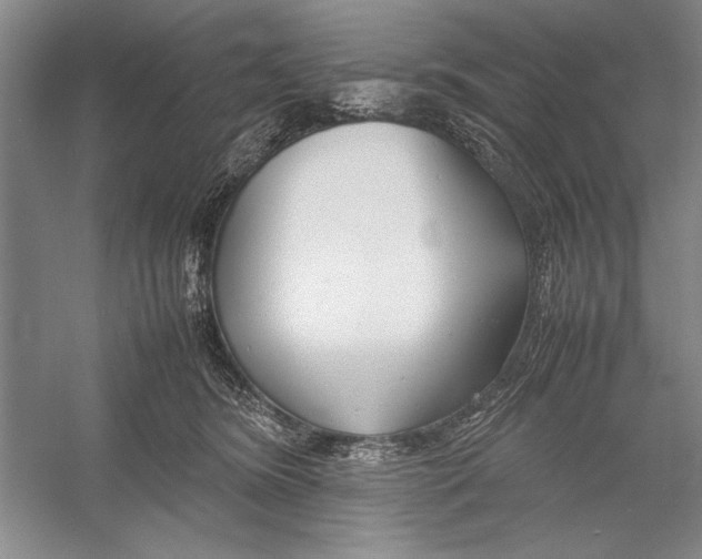 X0000052970420200508051020