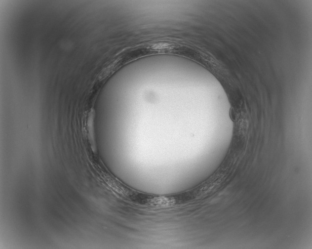 X0000052970421200508051020