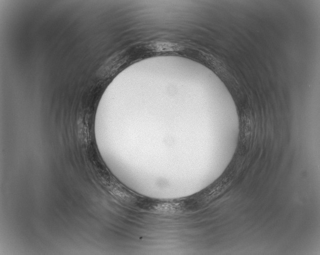 X0000052970422200508051019