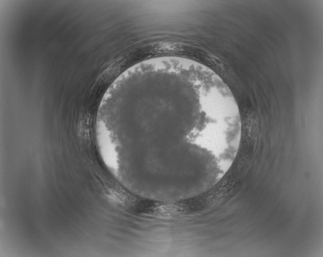 X0000052970423200508051019