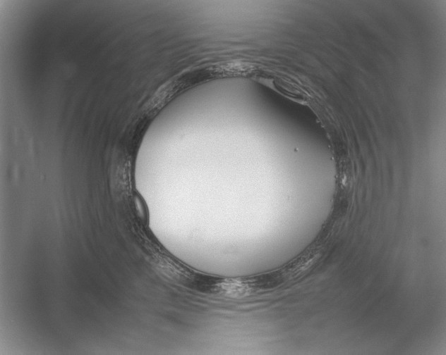 X0000052970425200508051019