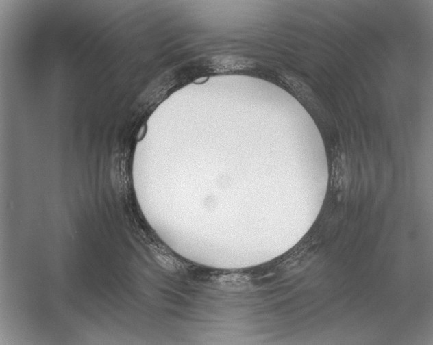 X0000052970426200508051019