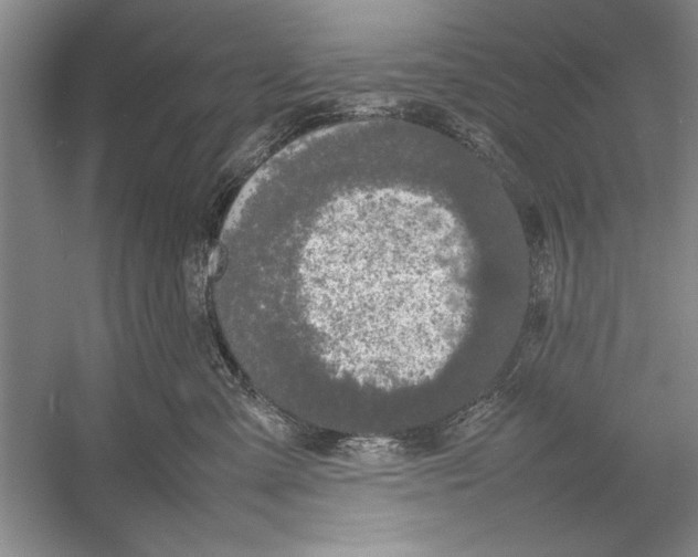 X0000052970427200508051019