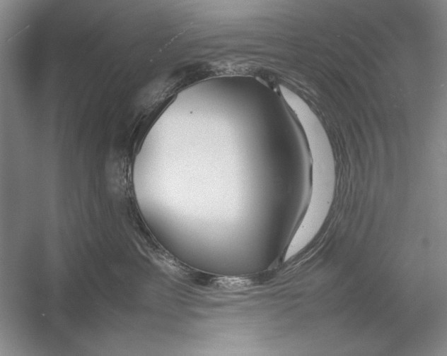 X0000052970429200508051019