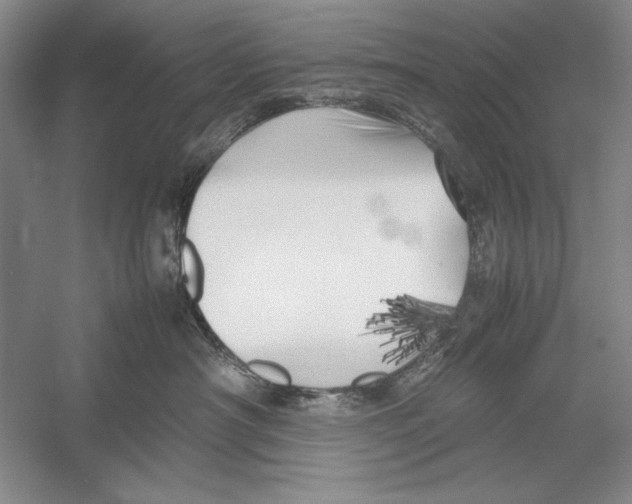 X0000052970430200508051019