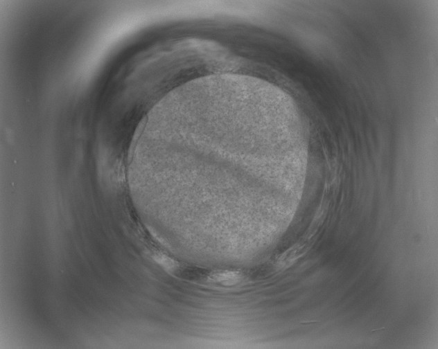 X0000052970431200508051019