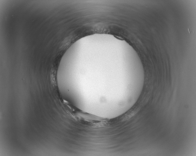 X0000052970432200508051019