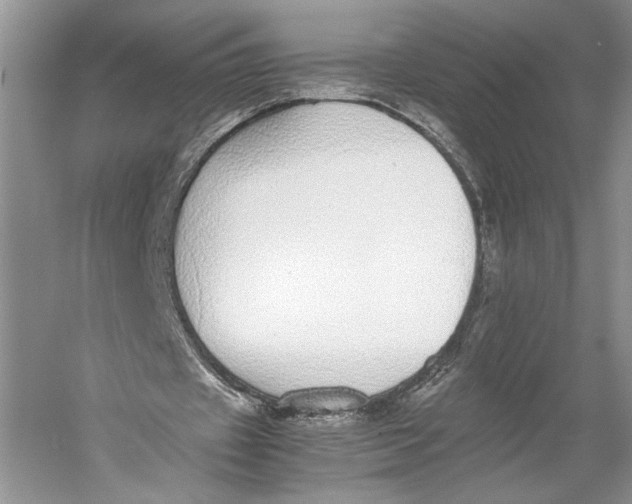 X0000052970433200508051019