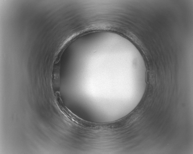 X0000052970434200508051019