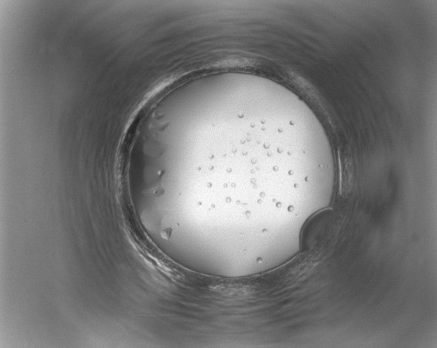 X0000052970435200508051019