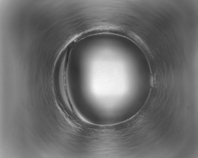 X0000052970436200508051019