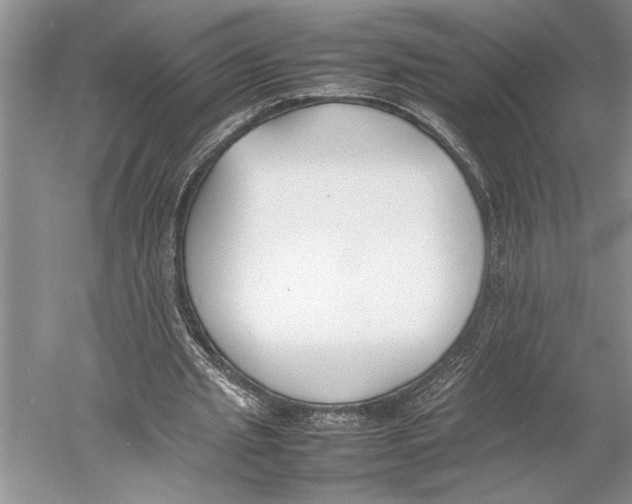 X0000052970437200508051019