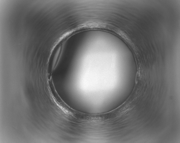 X0000052970438200508051019