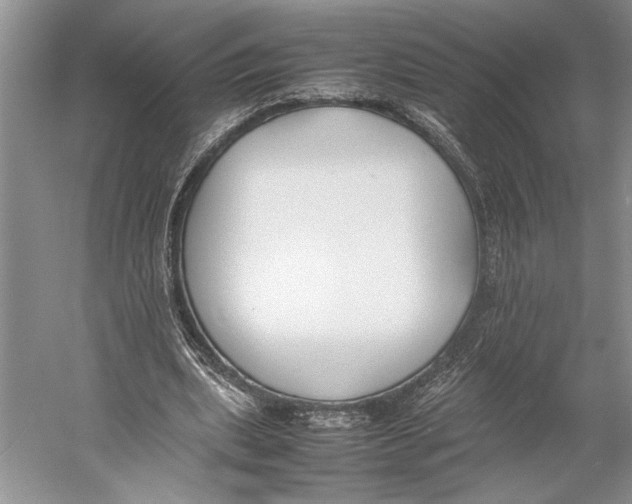 X0000052970439200508051019