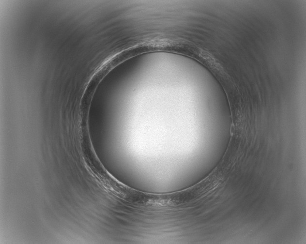 X0000052970440200508051019