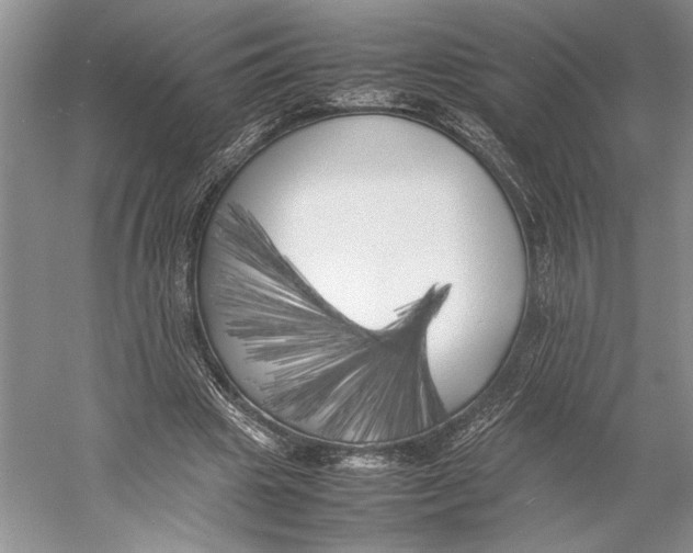 X0000052970441200508051019