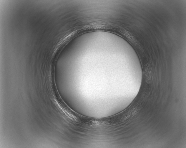 X0000052970442200508051019