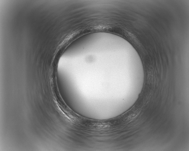 X0000052970443200508051019