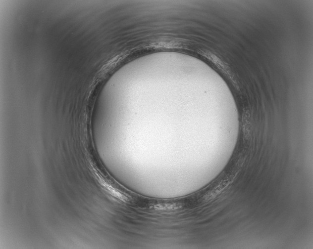 X0000052970445200508051019