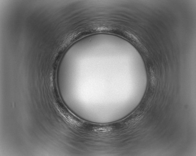 X0000052970447200508051019