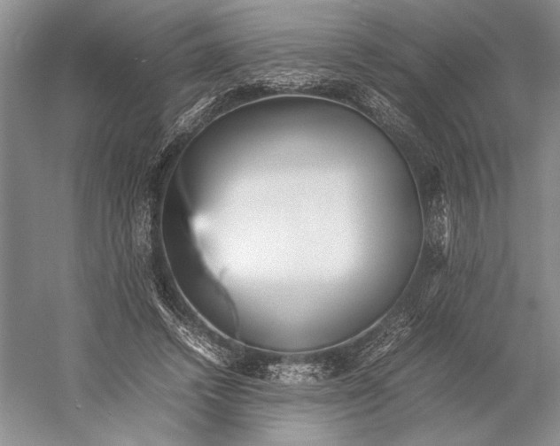 X0000052970448200508051019