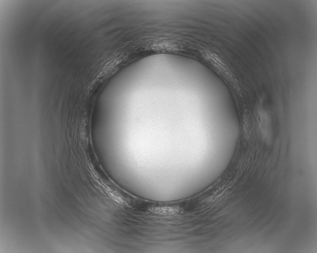 X0000052970449200508051019