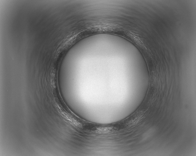 X0000052970450200508051019