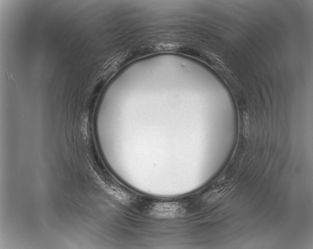 X0000052970451200508051019