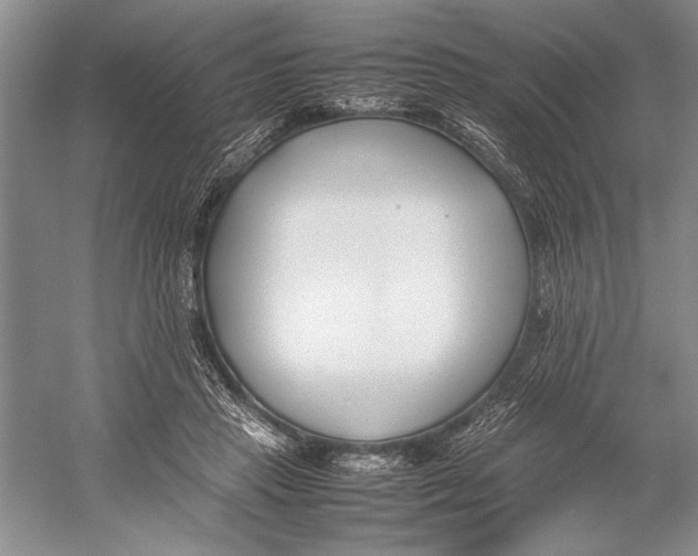 X0000052970453200508051019