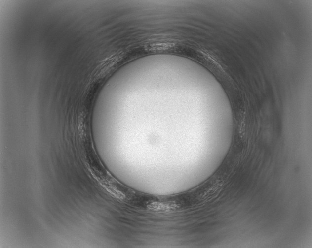 X0000052970455200508051019