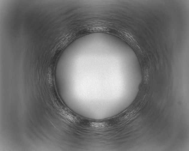 X0000052970457200508051019