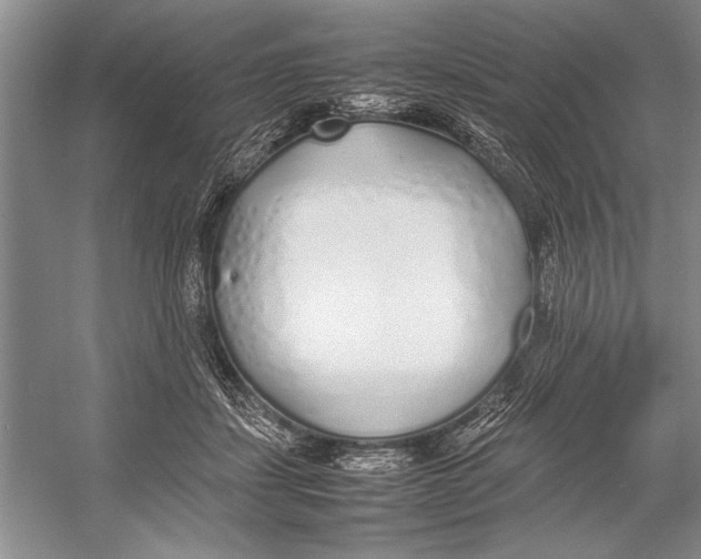 X0000052970459200508051019