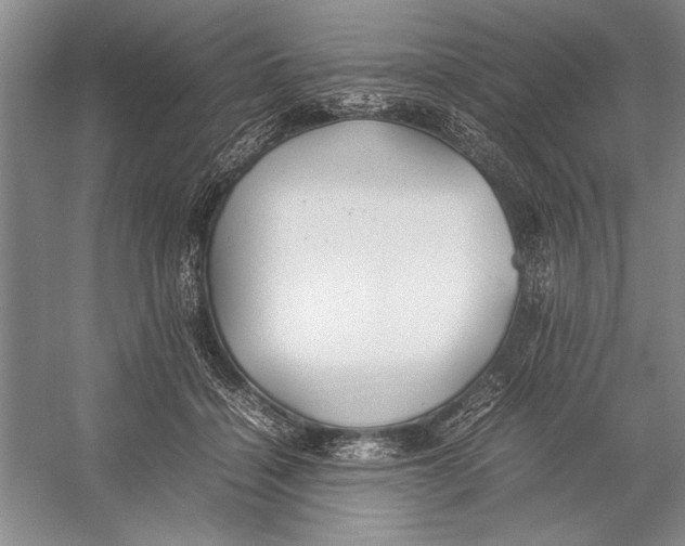 X0000052970460200508051019