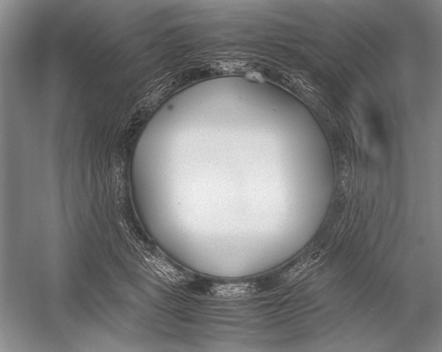 X0000052970461200508051019